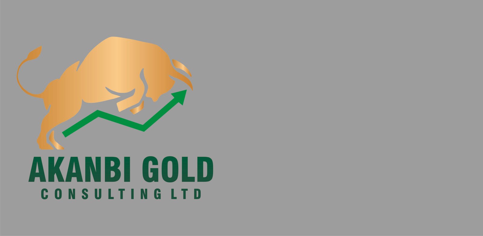 Akanbi Gold Consulting Ltd
